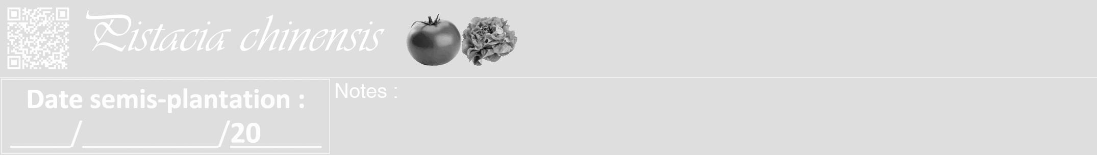 Étiquette de : Pistacia chinensis - format a - style blanche20viv avec qrcode et comestibilité simplifiée