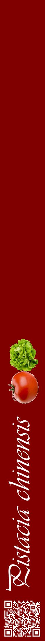 Étiquette de : Pistacia chinensis - format a - style blanche29viv avec qrcode et comestibilité simplifiée