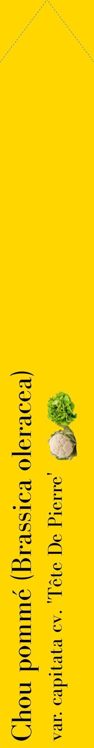 Étiquette de : Brassica oleracea var. capitata cv. 'Tête De Pierre' - format c - style noire21_simplebod avec comestibilité simplifiée