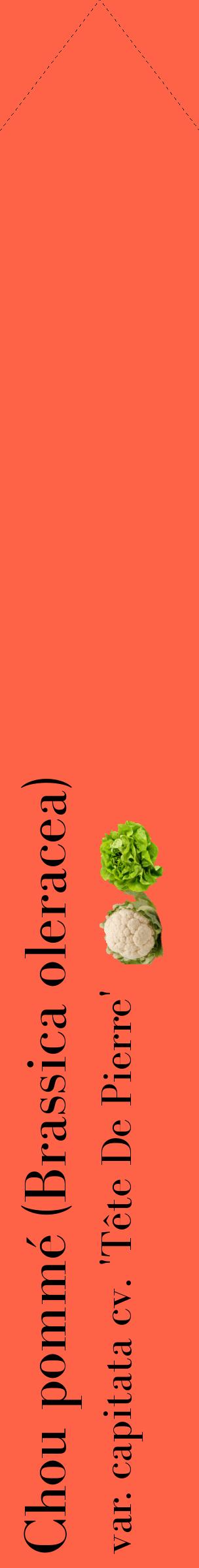 Étiquette de : Brassica oleracea var. capitata cv. 'Tête De Pierre' - format c - style noire25_simplebod avec comestibilité simplifiée