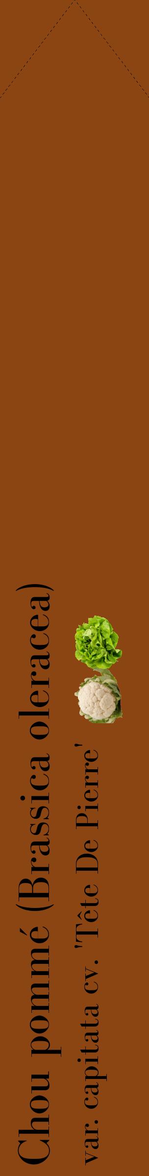 Étiquette de : Brassica oleracea var. capitata cv. 'Tête De Pierre' - format c - style noire30_simplebod avec comestibilité simplifiée