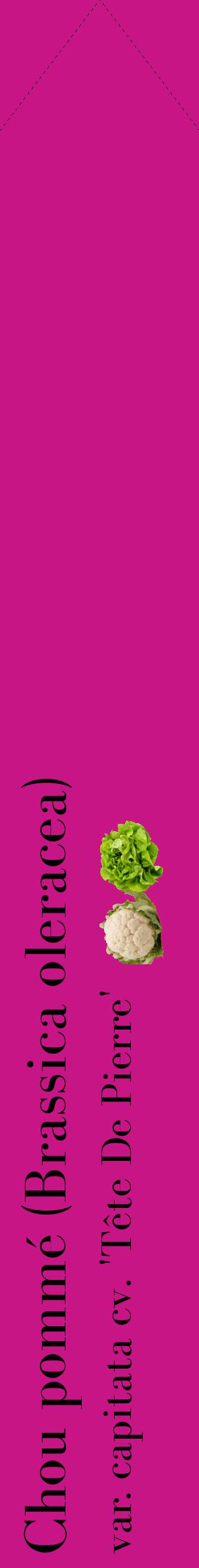 Étiquette de : Brassica oleracea var. capitata cv. 'Tête De Pierre' - format c - style noire45_simplebod avec comestibilité simplifiée