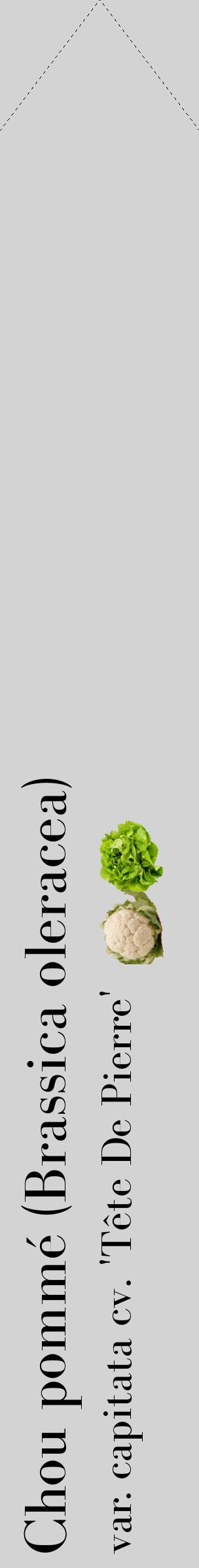 Étiquette de : Brassica oleracea var. capitata cv. 'Tête De Pierre' - format c - style noire56_simplebod avec comestibilité simplifiée