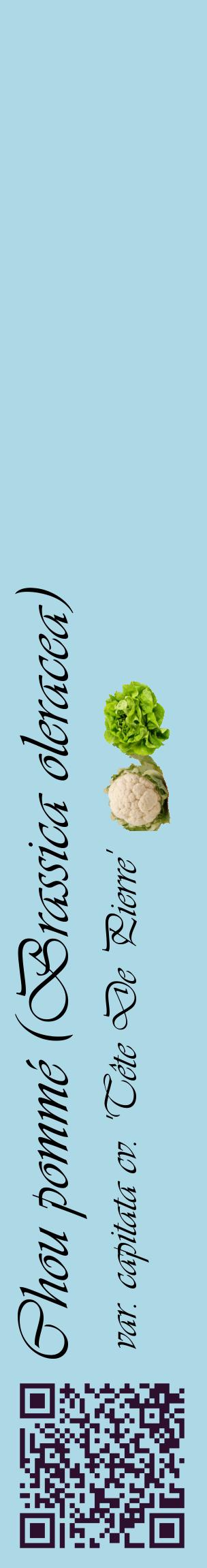 Étiquette de : Brassica oleracea var. capitata cv. 'Tête De Pierre' - format c - style noire0_basiqueviv avec qrcode et comestibilité simplifiée
