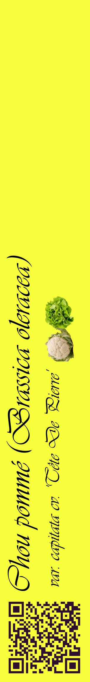 Étiquette de : Brassica oleracea var. capitata cv. 'Tête De Pierre' - format c - style noire18_basiqueviv avec qrcode et comestibilité simplifiée