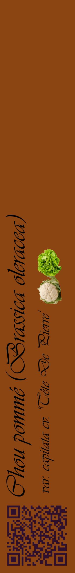 Étiquette de : Brassica oleracea var. capitata cv. 'Tête De Pierre' - format c - style noire30_basiqueviv avec qrcode et comestibilité simplifiée