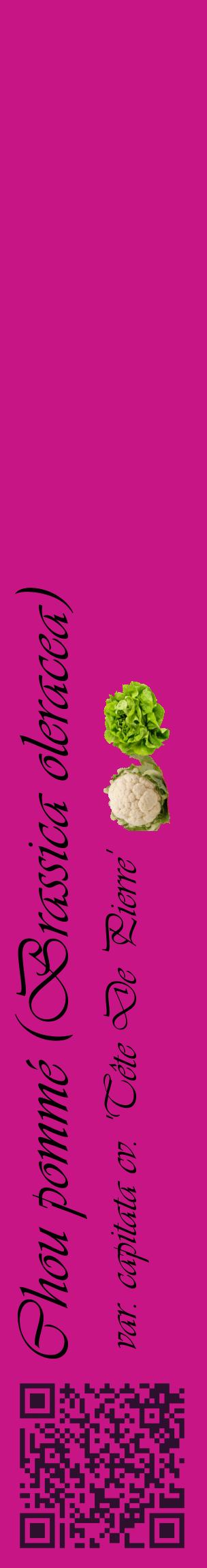 Étiquette de : Brassica oleracea var. capitata cv. 'Tête De Pierre' - format c - style noire45_basiqueviv avec qrcode et comestibilité simplifiée