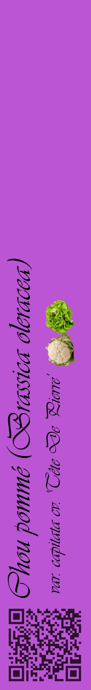 Étiquette de : Brassica oleracea var. capitata cv. 'Tête De Pierre' - format c - style noire50_basiqueviv avec qrcode et comestibilité simplifiée