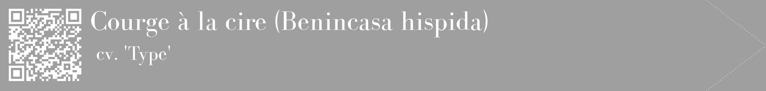 Étiquette de : Benincasa hispida cv. 'Type' - format c - style blanche24_simple_simplebod avec qrcode et comestibilité