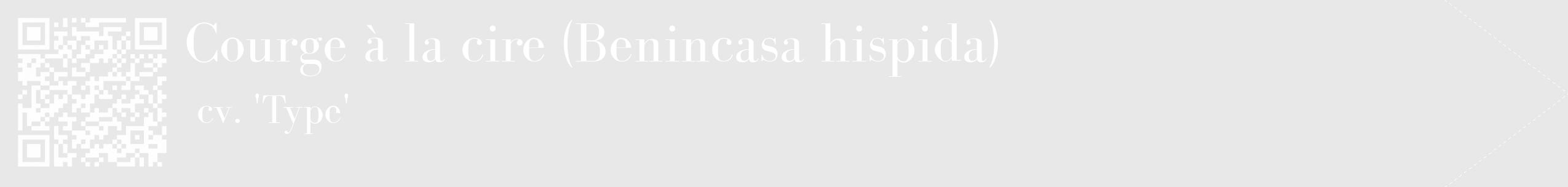 Étiquette de : Benincasa hispida cv. 'Type' - format c - style blanche55_simple_simplebod avec qrcode et comestibilité