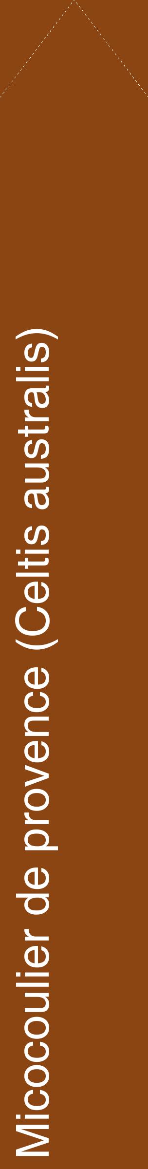 Étiquette de : Celtis australis - format c - style blanche30_simplehel avec comestibilité