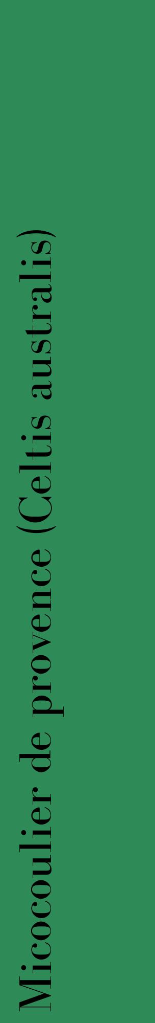 Étiquette de : Celtis australis - format c - style noire11_basiquebod avec comestibilité