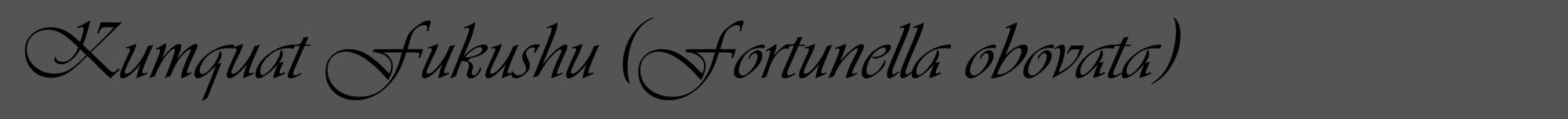 Étiquette de : Fortunella obovata - format a - style noire36viv avec comestibilité