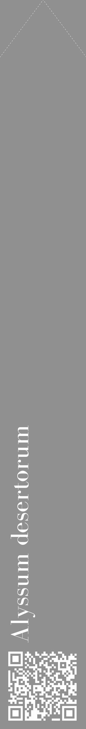 Étiquette de : Alyssum desertorum - format c - style blanche4_simple_simplebod avec qrcode et comestibilité - position verticale
