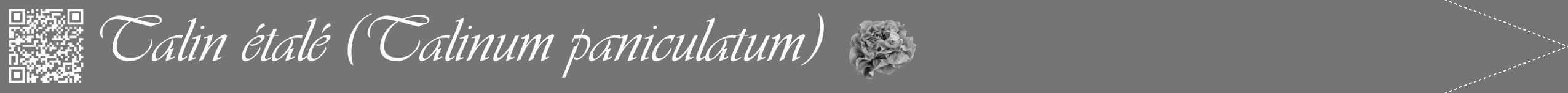 Étiquette de : Talinum paniculatum - format b - style blanche5simpleviv avec qrcode et comestibilité simplifiée