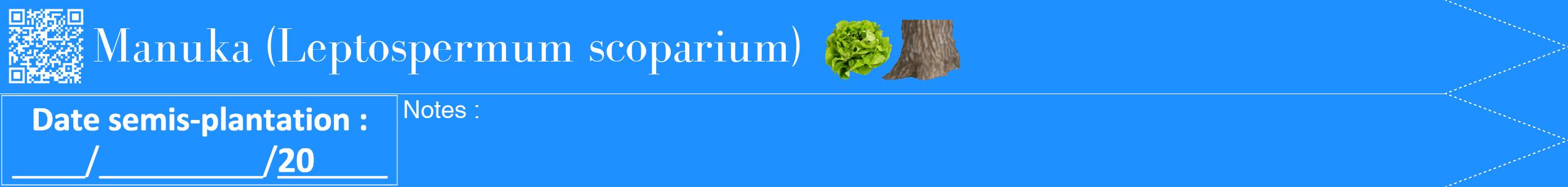 Étiquette de : Leptospermum scoparium - format b - style blanche3simplebod avec qrcode et comestibilité simplifiée
