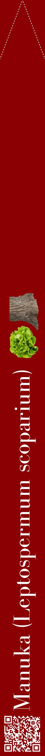 Étiquette de : Leptospermum scoparium - format b - style blanche34bod avec qrcode et comestibilité simplifiée