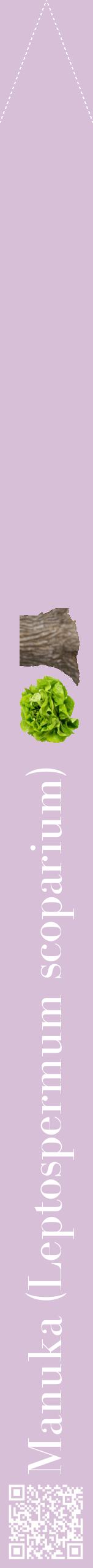 Étiquette de : Leptospermum scoparium - format b - style blanche54bod avec qrcode et comestibilité simplifiée