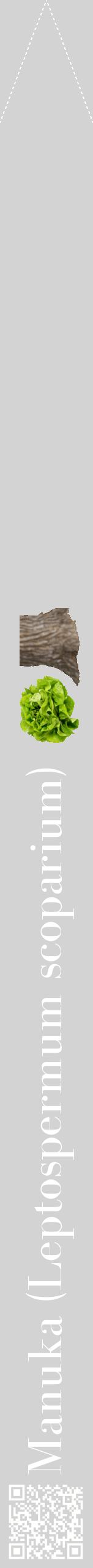 Étiquette de : Leptospermum scoparium - format b - style blanche56bod avec qrcode et comestibilité simplifiée