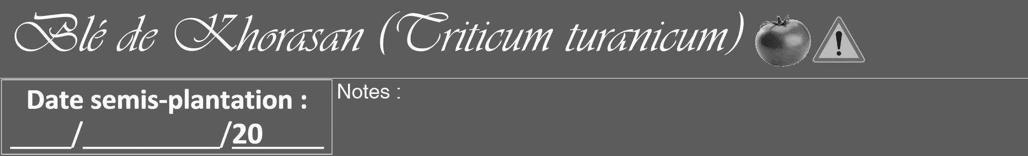 Étiquette de : Triticum turanicum - format a - style blanche49viv avec comestibilité simplifiée