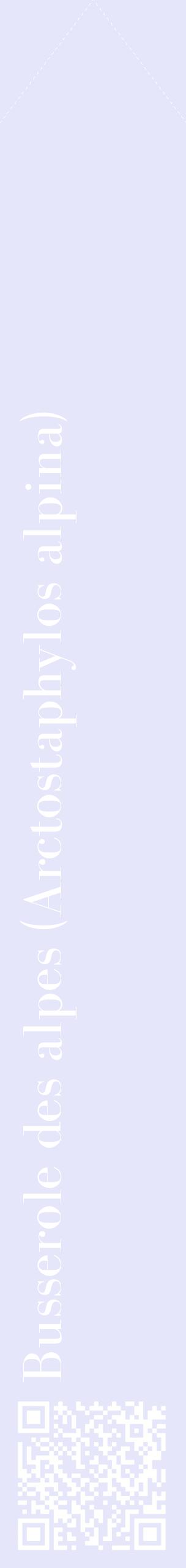 Étiquette de : Arctostaphylos alpina - format c - style blanche55_simplebod avec qrcode et comestibilité