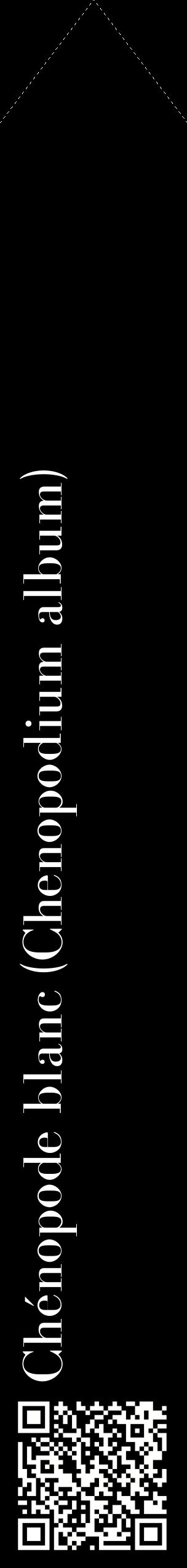 Étiquette de : Chenopodium album - format c - style blanche59_simplebod avec qrcode et comestibilité