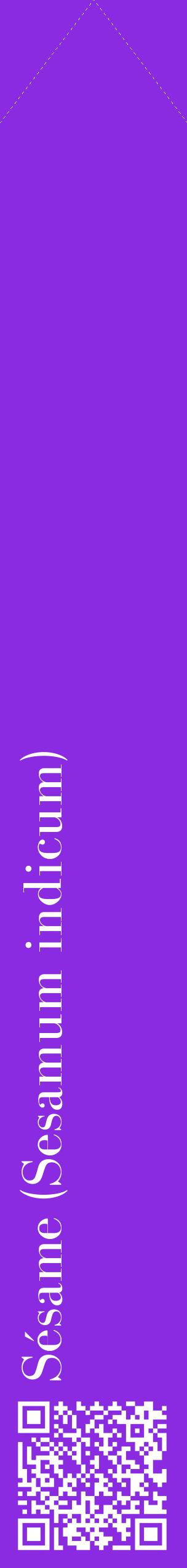 Étiquette de : Sesamum indicum - format c - style blanche49_simplebod avec qrcode et comestibilité