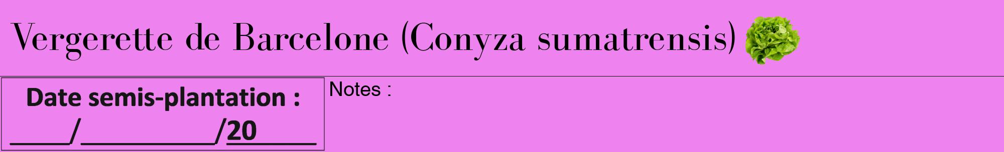 Étiquette de : Conyza sumatrensis - format a - style noire53bod avec comestibilité simplifiée