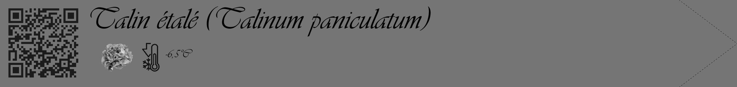 Étiquette de : Talinum paniculatum - format c - style noire5simple_basique_basiqueviv avec qrcode et comestibilité simplifiée