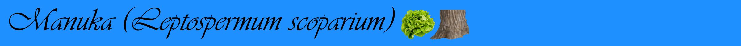 Étiquette de : Leptospermum scoparium - format a - style noire3simpleviv avec comestibilité simplifiée