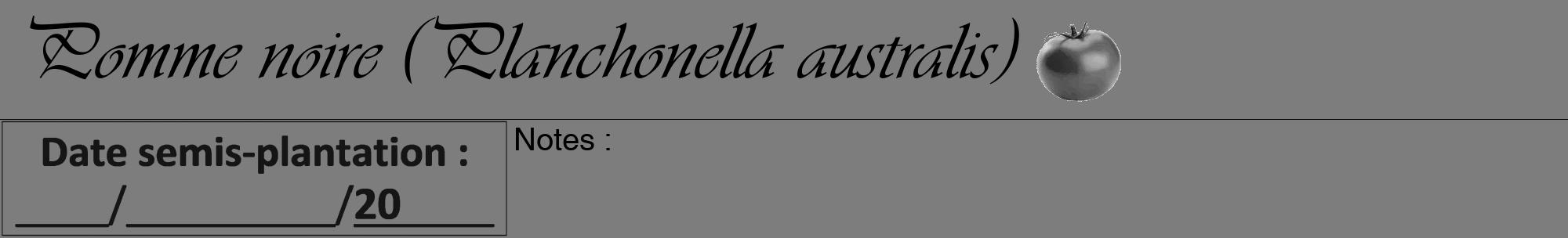 Étiquette de : Planchonella australis - format a - style noire35viv avec comestibilité simplifiée