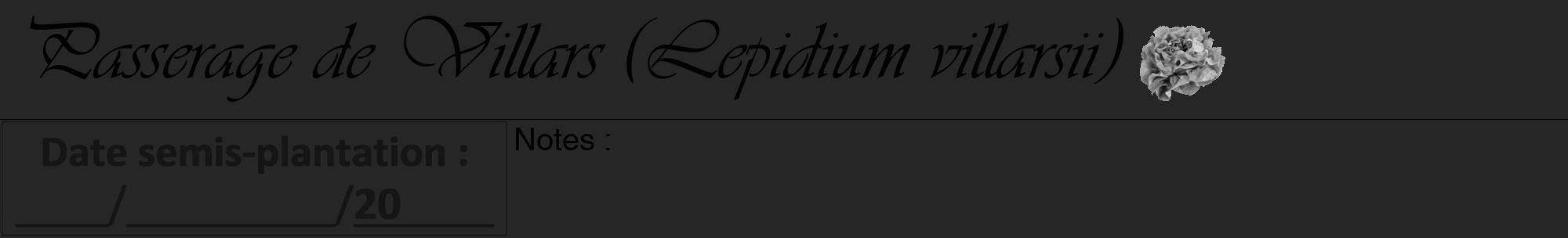Étiquette de : Lepidium villarsii - format a - style noire29viv avec comestibilité simplifiée