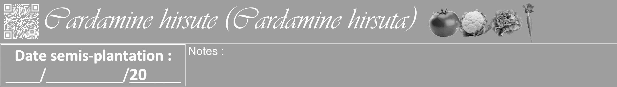 Étiquette de : Cardamine hirsuta - format a - style blanche23viv avec qrcode et comestibilité simplifiée