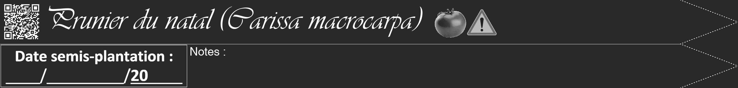 Étiquette de : Carissa macrocarpa - format b - style blanche34viv avec qrcode et comestibilité simplifiée