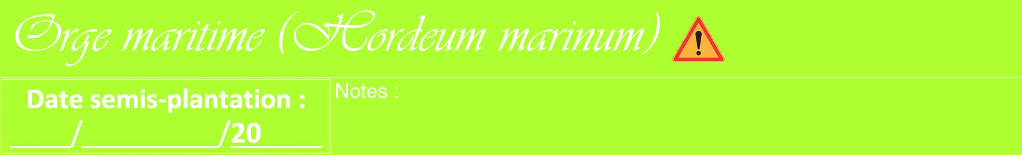 Étiquette de : Hordeum marinum - format a - style blanche17viv avec comestibilité simplifiée