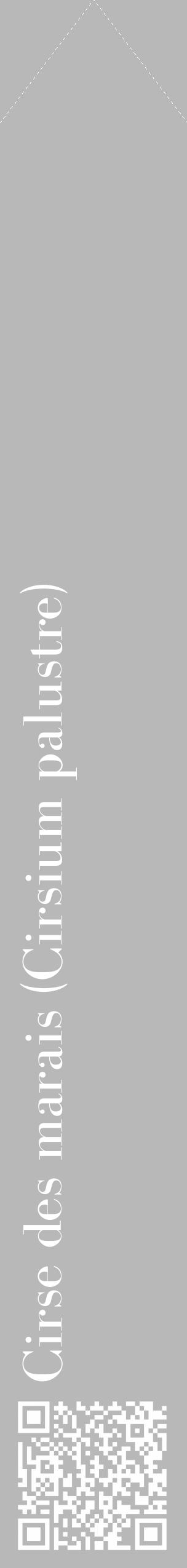 Étiquette de : Cirsium palustre - format c - style blanche39_simple_simplebod avec qrcode et comestibilité - position verticale