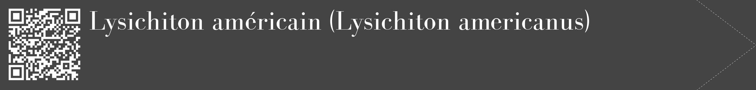 Étiquette de : Lysichiton americanus - format c - style blanche48_simple_simplebod avec qrcode et comestibilité