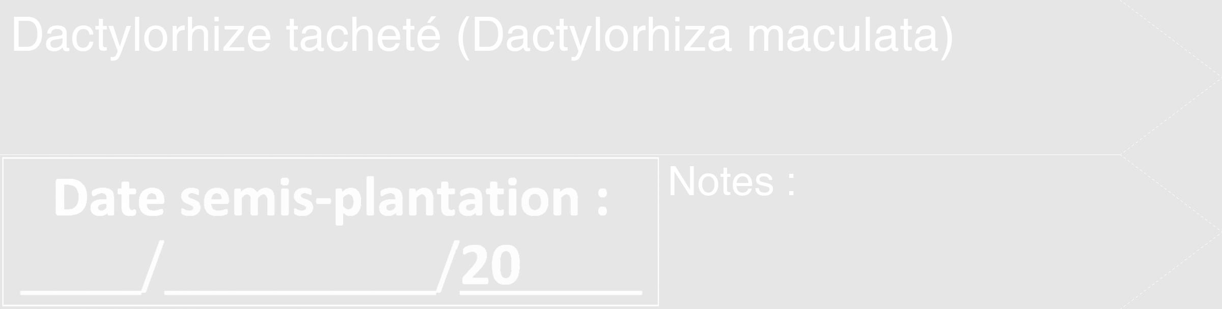 Étiquette de : Dactylorhiza maculata - format c - style blanche18_simple_simplehel avec comestibilité