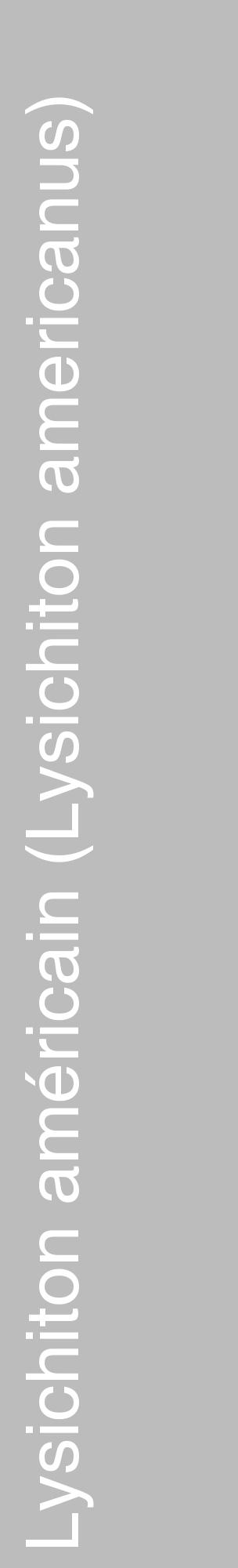 Étiquette de : Lysichiton americanus - format c - style blanche1_basique_basiquehel avec comestibilité - position verticale