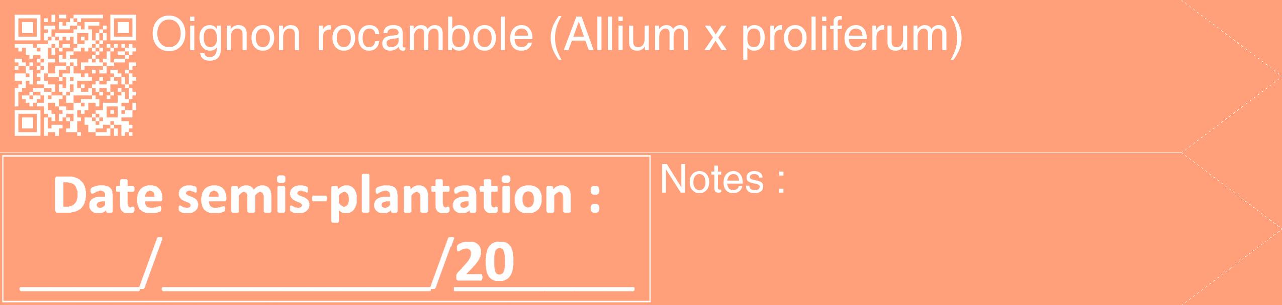 Étiquette de : Allium x proliferum - format c - style blanche39_simple_simplehel avec qrcode et comestibilité