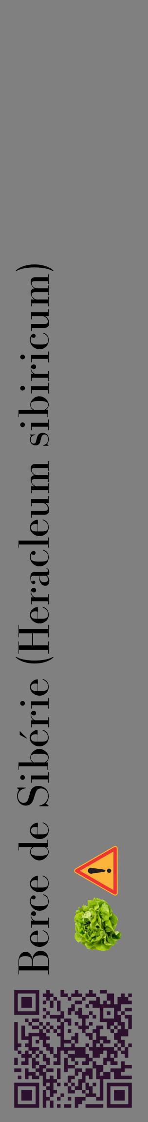 Étiquette de : Heracleum sibiricum - format c - style noire57_basiquebod avec qrcode et comestibilité simplifiée