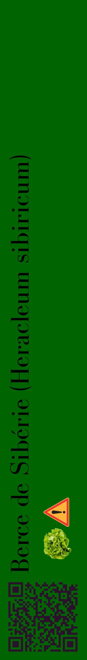Étiquette de : Heracleum sibiricum - format c - style noire8_basiquebod avec qrcode et comestibilité simplifiée