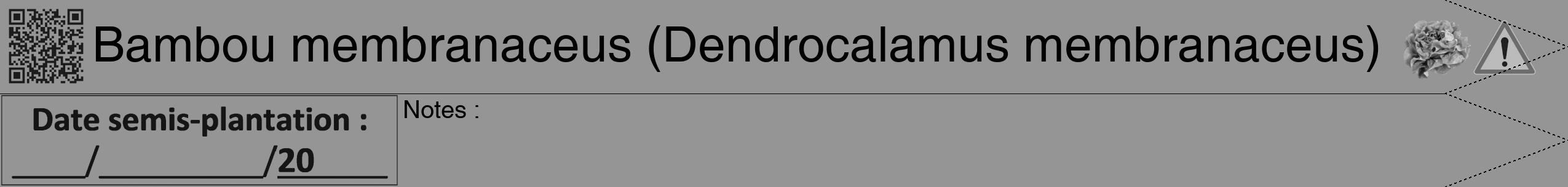 Étiquette de : Dendrocalamus membranaceus - format b - style noire16hel avec qrcode et comestibilité simplifiée