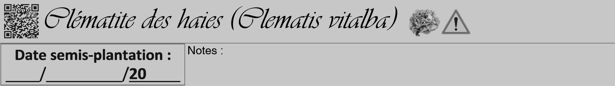 Étiquette de : Clematis vitalba - format a - style noire15viv avec qrcode et comestibilité simplifiée