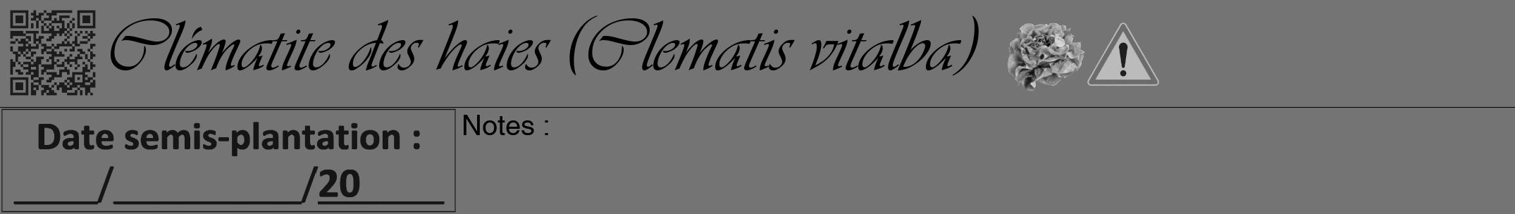 Étiquette de : Clematis vitalba - format a - style noire26viv avec qrcode et comestibilité simplifiée