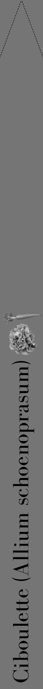 Étiquette de : Allium schoenoprasum - format b - style noire5bod avec comestibilité simplifiée - position verticale
