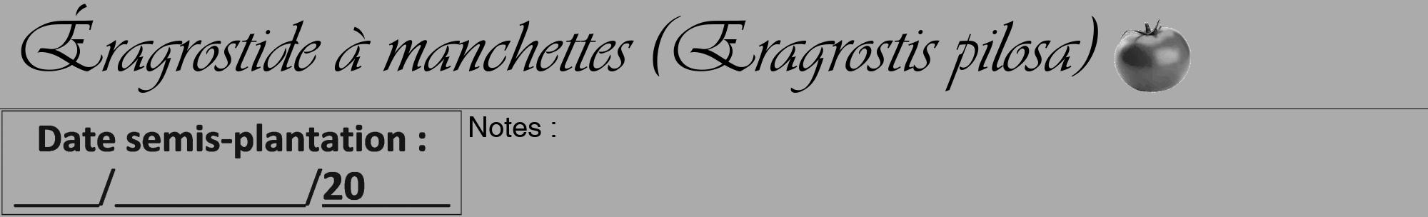 Étiquette de : Eragrostis pilosa - format a - style noire37viv avec comestibilité simplifiée