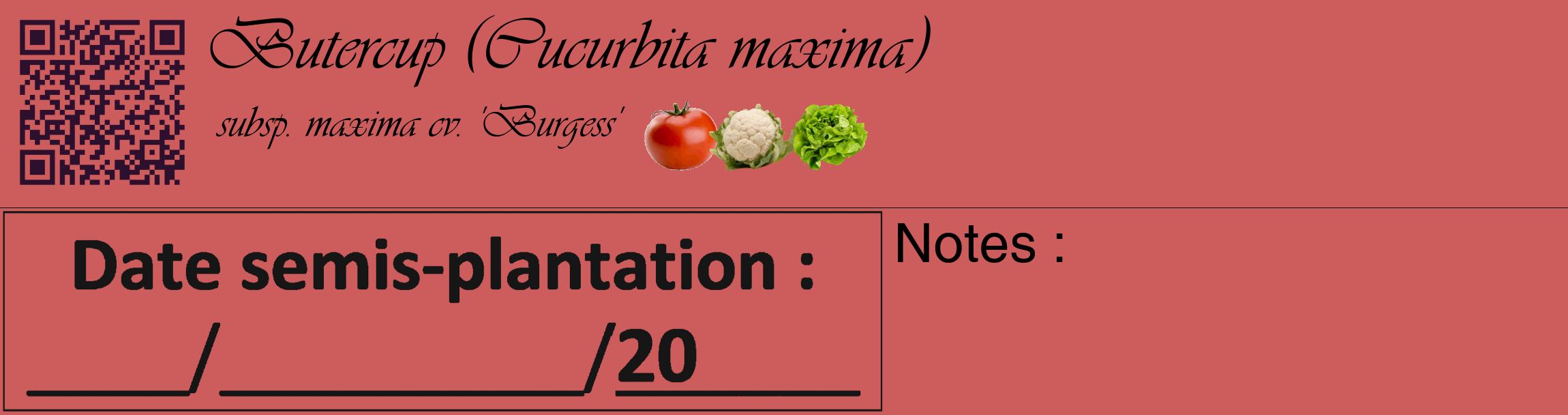 Étiquette de : Cucurbita maxima subsp. maxima cv. 'Burgess' - format c - style noire35basique_basique_basiqueviv avec qrcode et comestibilité simplifiée