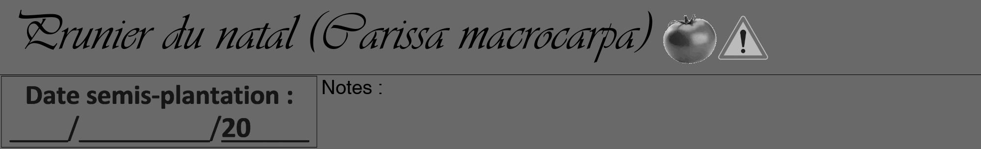 Étiquette de : Carissa macrocarpa - format a - style noire11viv avec comestibilité simplifiée