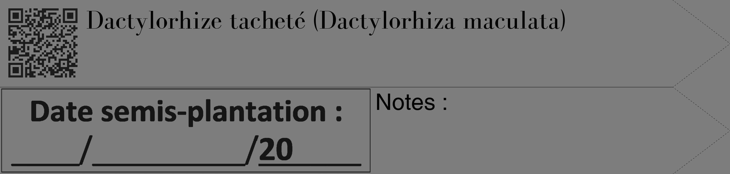 Étiquette de : Dactylorhiza maculata - format c - style noire35_simple_simplebod avec qrcode et comestibilité